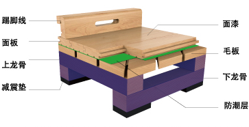 舞台地板是一种专业的地板