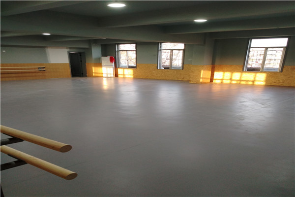 徐州红泉舞蹈工作室进口舞蹈地胶项目