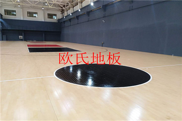 山东同昌物业管理服务有限公司23号篮球馆1800平米项目--单龙骨结构系统
