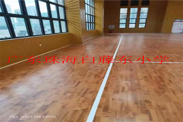 广东珠海白藤东小学新建工程